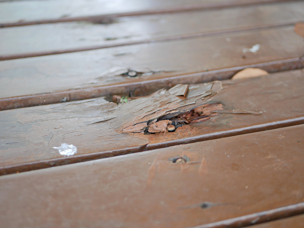 rotted deck